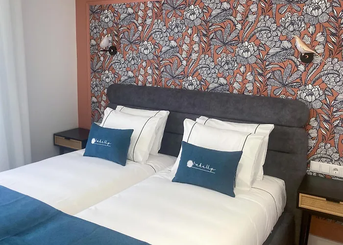 Wakeup - Sao Francisco